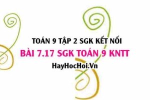 Bài 7.17 SGK Toán 9 tập 2 Kết nối tri thức